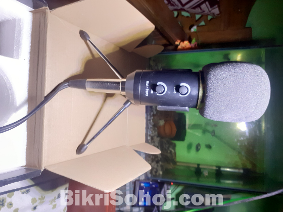 STUDIO MICROPHONE BM100fx